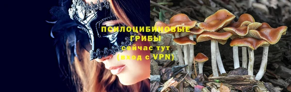 тгк Михайловск