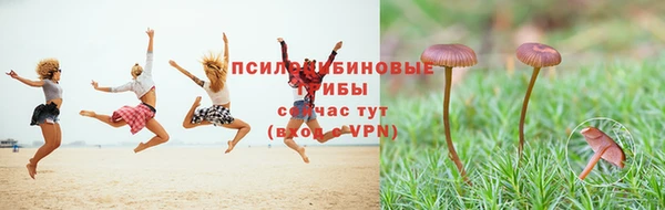 тгк Михайловск