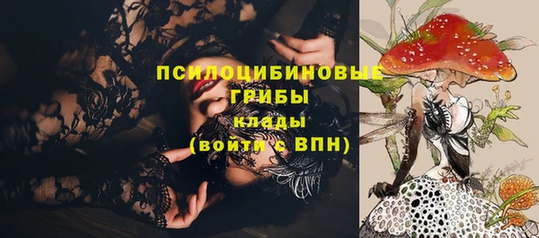 тгк Михайловск