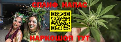 MDMA Гатчина
