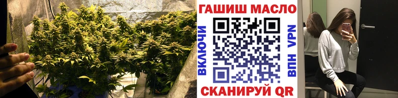 ТГК THC oil ссылка на мегу как войти Железноводск