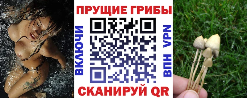 цена   Железноводск  Галлюциногенные грибы мицелий 
