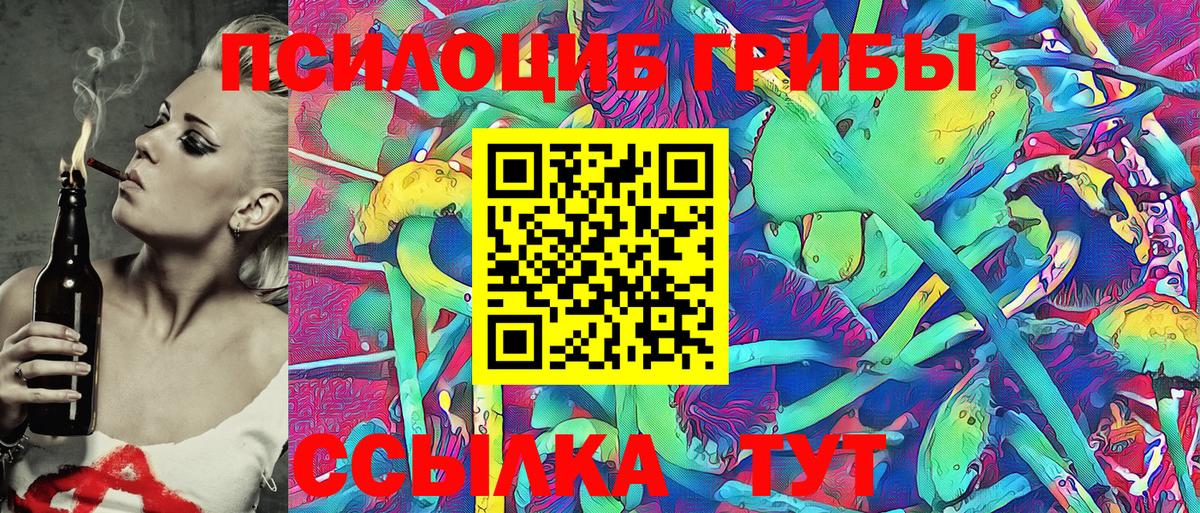 Железноводск  Псилоцибиновые грибы MAGIC MUSHROOMS  Вход с VPN 