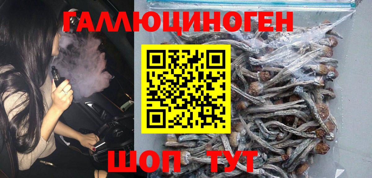 Галлюциногенные грибы Psilocybine cubensis Железноводск