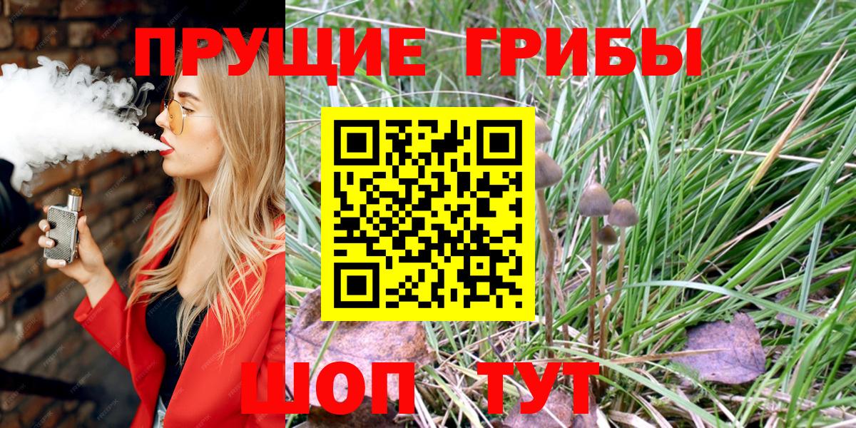 Галлюциногенные грибы Psilocybe Железноводск
