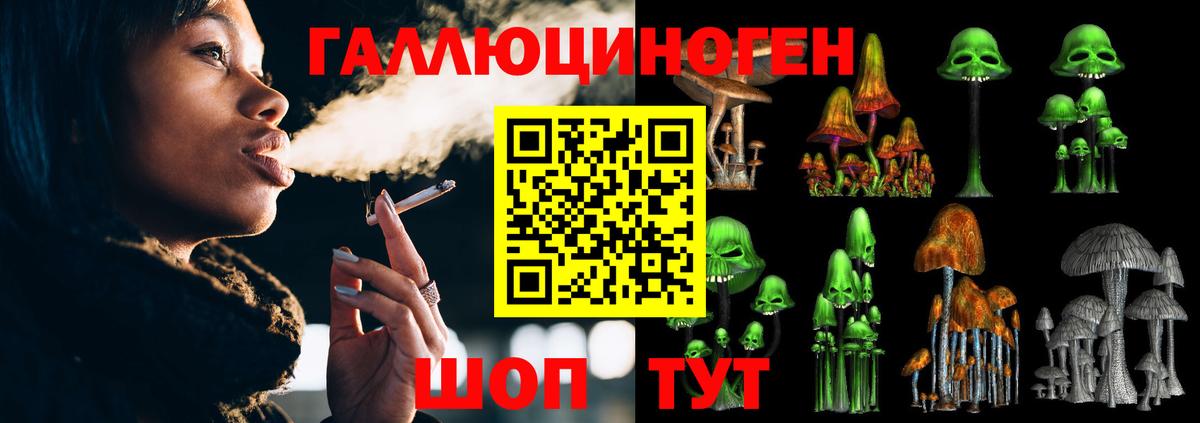 Псилоцибиновые грибы MAGIC MUSHROOMS  Железноводск 